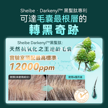 Load image into Gallery viewer, 日本Sheibe|天然黑髮肽Age-Reversal強效防脫黑髮生髮洗髮水|港澳總代
