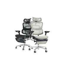 Load image into Gallery viewer, 日本COFO|Chair Premium|港澳總代
